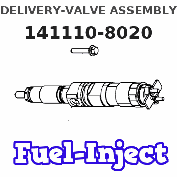 141110-8020 DELIVERY-VALVE ASSEMBLY