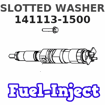 141113-1500 SLOTTED WASHER