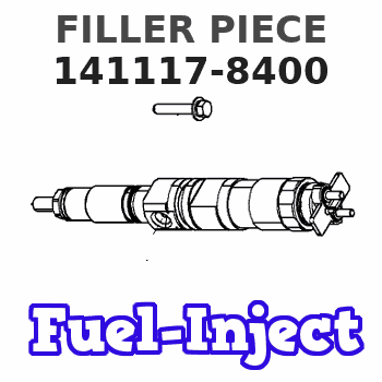 141117-8400 FILLER PIECE