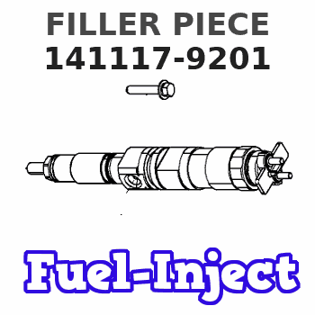 141117-9201 FILLER PIECE