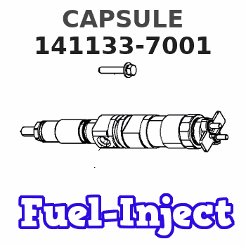 141133-7001 CAPSULE