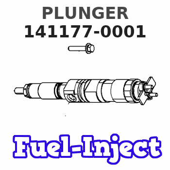 141177-0001 PLUNGER