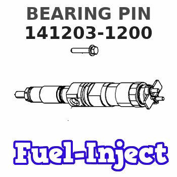 141203-1200 BEARING PIN