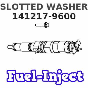 141217-9600 SLOTTED WASHER