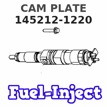 145212-1220 CAM PLATE