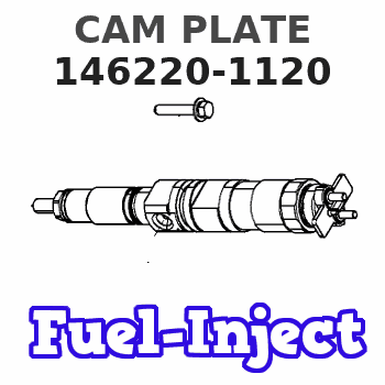 146220-1120 CAM PLATE