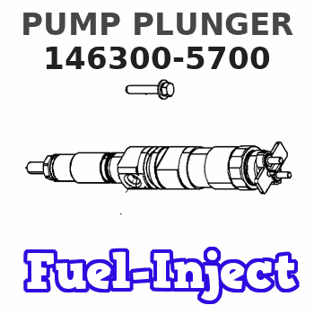 146300-5700 PUMP PLUNGER