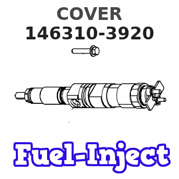 146310-3920 COVER