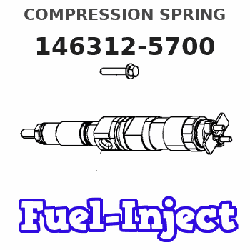 146312-5700 COMPRESSION SPRING