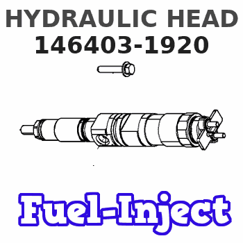 146403-1920 HYDRAULIC HEAD