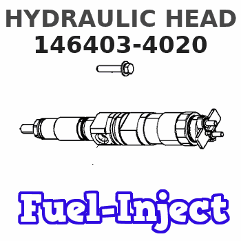 146403-4020 HYDRAULIC HEAD
