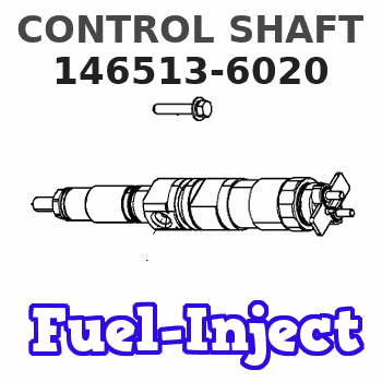 146513-6020 CONTROL SHAFT