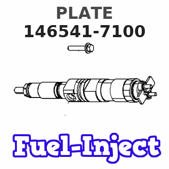 146541-7100 PLATE