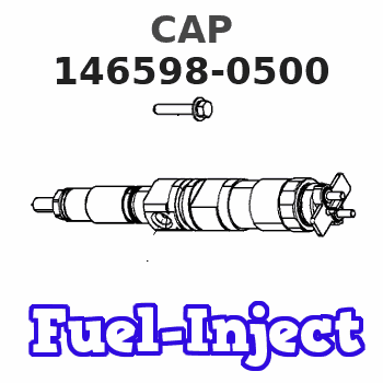 146598-0500 CAP