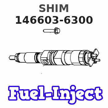 146603-6300 SHIM