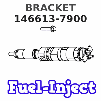 146613-7900 BRACKET
