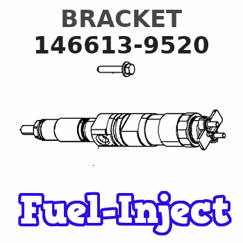 146613-9520 BRACKET