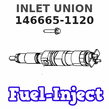 146665-1120 INLET UNION