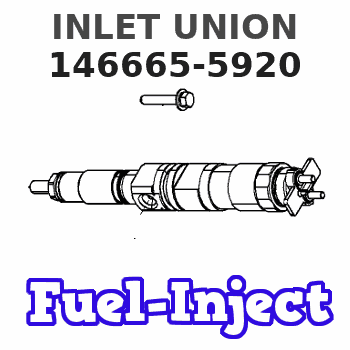 146665-5920 INLET UNION