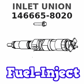 146665-8020 INLET UNION