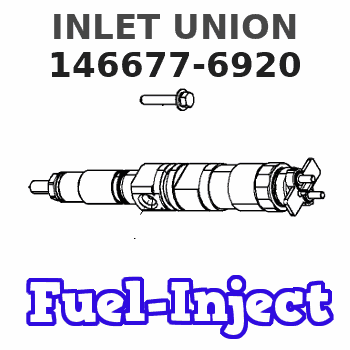 146677-6920 INLET UNION