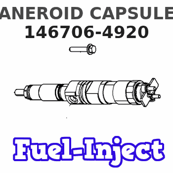 146706-4920 ANEROID CAPSULE