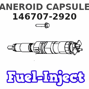 146707-2920 ANEROID CAPSULE