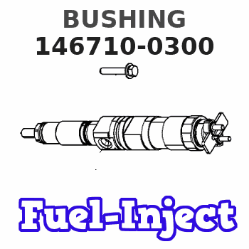 146710-0300 BUSHING