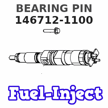 146712-1100 BEARING PIN