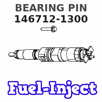 146712-1300 BEARING PIN
