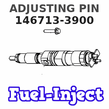 146713-3900 ADJUSTING PIN