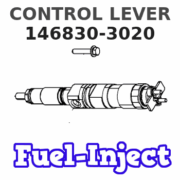 146830-3020 CONTROL LEVER