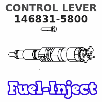 146831-5800 CONTROL LEVER