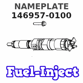 146957-0100 NAMEPLATE