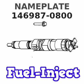 146987-0800 NAMEPLATE