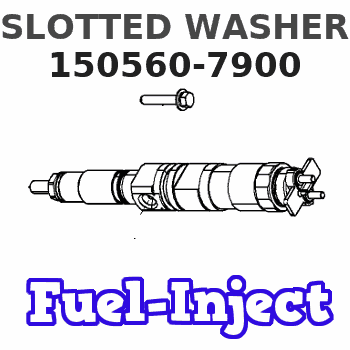 150560-7900 SLOTTED WASHER