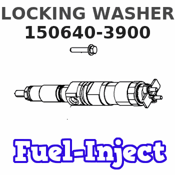 150640-3900 LOCKING WASHER