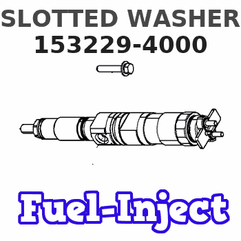 153229-4000 SLOTTED WASHER
