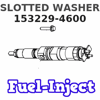 153229-4600 SLOTTED WASHER