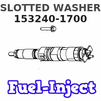 153240-1700 SLOTTED WASHER