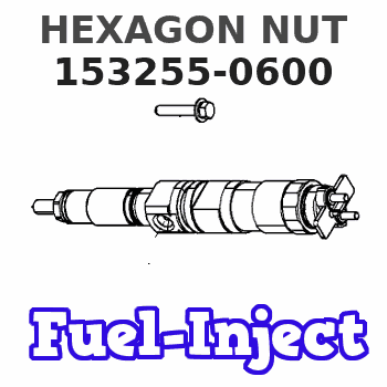153255-0600 HEXAGON NUT