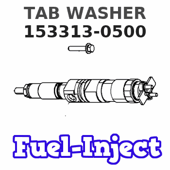 153313-0500 TAB WASHER