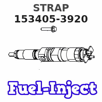 153405-3920 STRAP