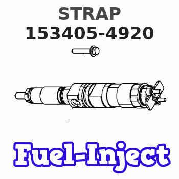 153405-4920 STRAP