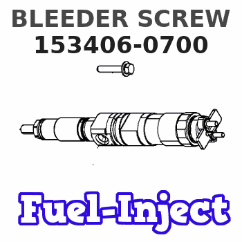 153406-0700 BLEEDER SCREW