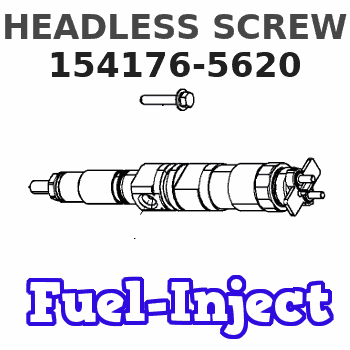 154176-5620 HEADLESS SCREW