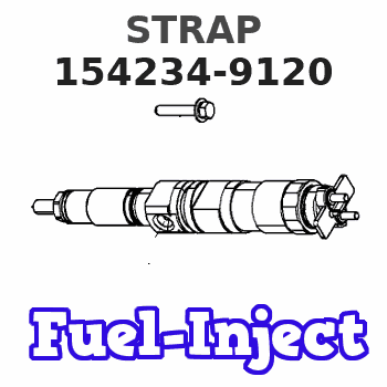 154234-9120 STRAP