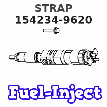 154234-9620 STRAP
