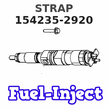 154235-2920 STRAP