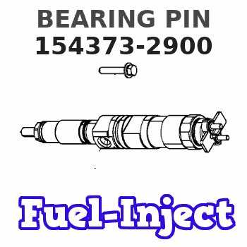 154373-2900 BEARING PIN